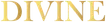 Divine Aesthetic Lounge