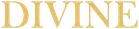 Divine Aesthetic Lounge